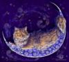 Схема вышивки «Лунный кот.»