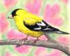 Схема вышивки «Yellow Bird»