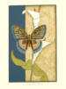 Схема вышивки «Бабочка и калы 1»