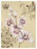 Схема вышивки «Орхидея 2»