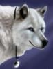 Белый волк с кулоном: оригинал