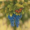 Схема вышивки «Бабочка на винограде»