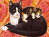 Схема вышивки «Кошка и котенок»