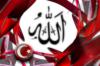 Схема вышивки «Аллах/16»