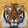 Схема вышивки «Bengalskij tigr»