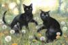Схема вышивки «Два черных котика»
