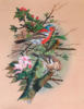 Схема вышивки «Птицы»