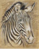 Схема вышивки «Zebra»