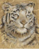 Схема вышивки «Tiger»