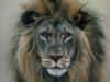 Схема вышивки «Лев-царь зверей»