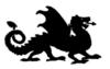 Схема вышивки «Дракон - символ 2012 года»