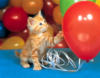 Схема вышивки «Котенок с воздушными шариками»