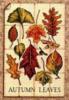 Схема вышивки «Осенний коллаж»