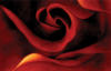 Схема вышивки «Сердце розы»