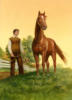 Схема вышивки «Лошадь и человек»