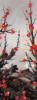 Схема вышивки «Цветы сакуры 2»