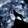 Схема вышивки «Луна и волк»
