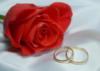 Схема вышивки «Роза и кольца»