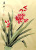 Схема вышивки «Orchid»