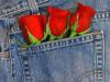 Схема вышивки «Розы в кармане»