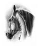 Схема вышивки «Я люблю свою лошадку»