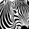 Схема вышивки «Zebra1»