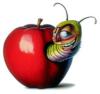 Схема вышивки «Червячок в яблочке»
