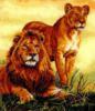 Лев и львица: оригинал