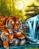 Схема вышивки «Тигры у водопада»