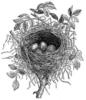 Схема вышивки «Birds nest»