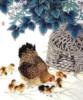 Схема вышивки «Курочка с цыплятами »