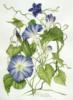 Схема вышивки «Blue flowers»