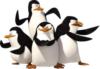 Схема вышивки «Пингвины Мадагаскара»