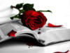 Схема вышивки «Роза на книге»