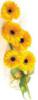 Схема вышивки «Желтые цветы»