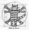 Схема вышивки «Витрувианский кот.»