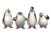 Схема вышивки «Пингвины из мадагаскара»