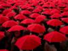 Схема вышивки «Red umbrellas»