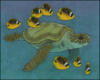 Схема вышивки «Морская черепаха»