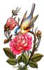 Схема вышивки «Птичка на розах»