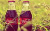 Две бутылки Кока-Колы в траве: оригинал