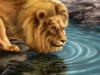 Схема вышивки «Лев на водопое»
