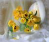 Схема вышивки «Дымка желтых тюльпанов»