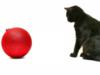 Схема вышивки «Черный кот и красный шар»