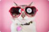 Схема вышивки «Кот в очках-сердечках»