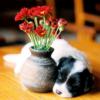 Щенок спит у вазы с цветами: оригинал