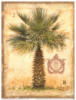 Схема вышивки «Palm»