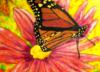 Схема вышивки «Цветы и бабочки»
