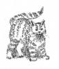 Схема вышивки «Дикая кошка»