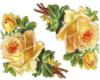 Схема вышивки «Подушка"Розы"»
